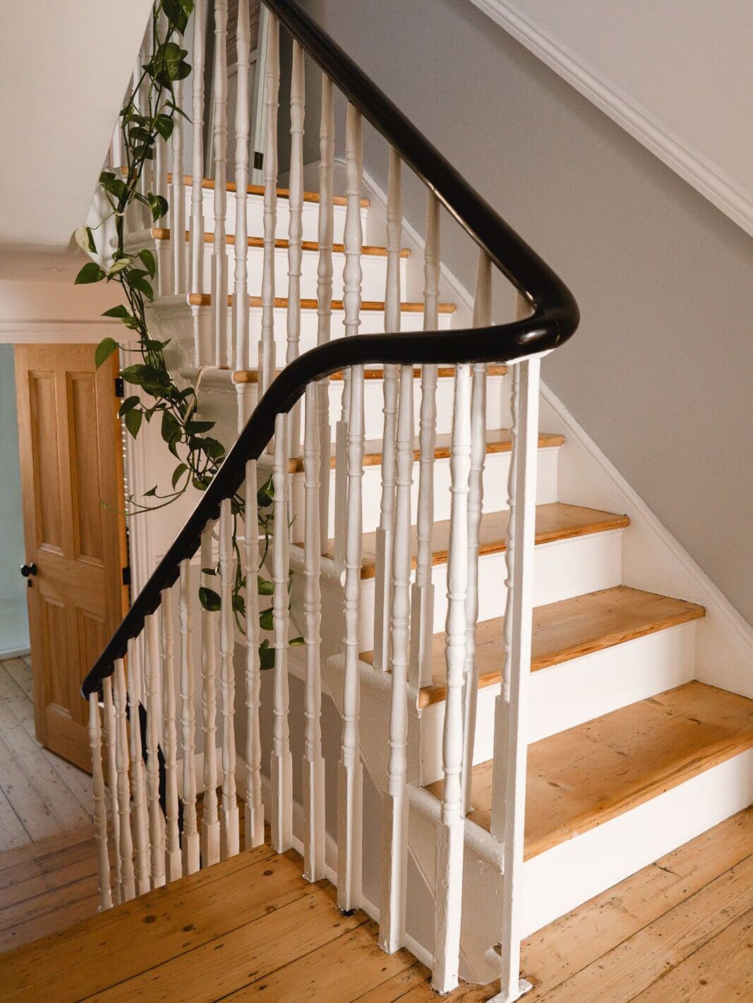 Elegant wooden floors staircase and green plant inside my London boudoir studio